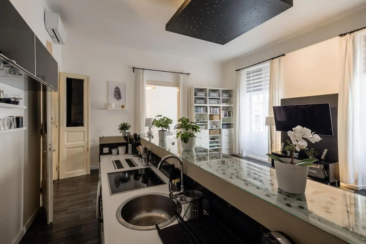 Spacious Apartment Almassy Budapest Ungheria